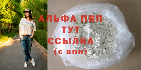 СК Куйбышев