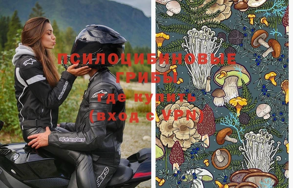 СК Куйбышев